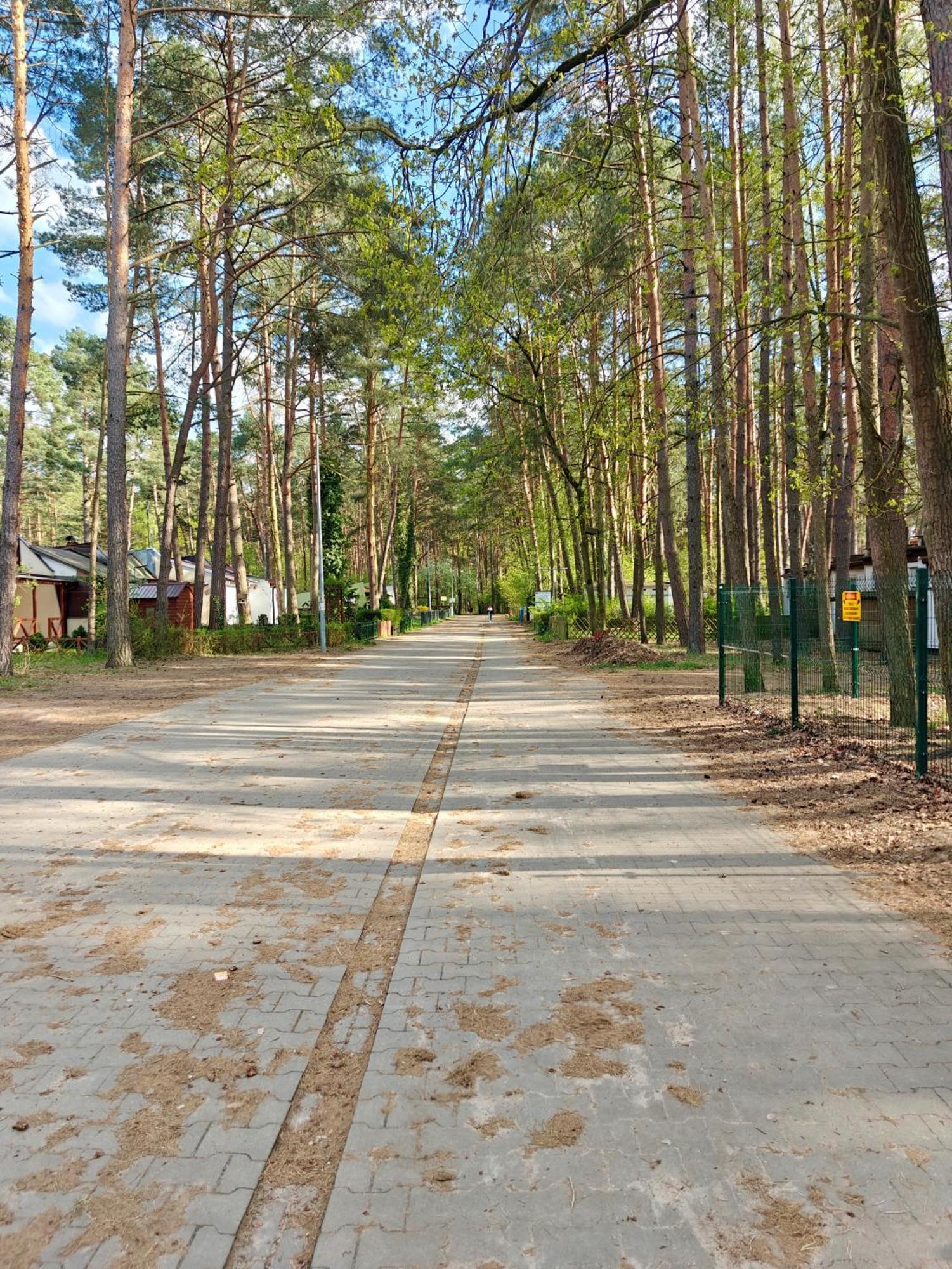 Lesna Ostoja W Centrum Puszczy Nadnoteckiej Otoczona 3 Jeziorami Miedzychod Exteriör bild